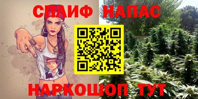 спиды Краснодар